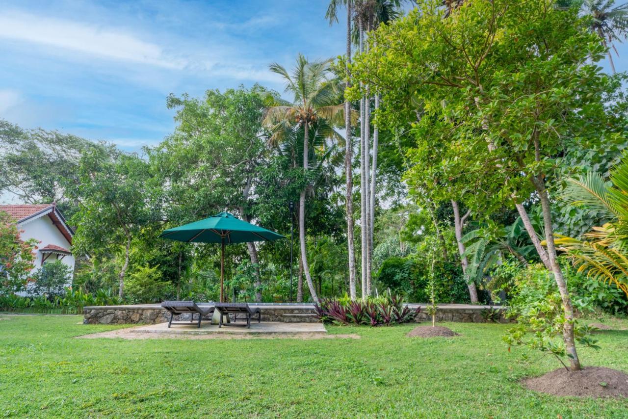 5Br Luxury Villa With Pool The Blues Mihiripenne エクステリア 写真